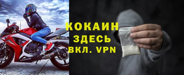 ГАЛЛЮЦИНОГЕННЫЕ ГРИБЫ Верея