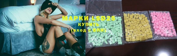 ГАЛЛЮЦИНОГЕННЫЕ ГРИБЫ Верея