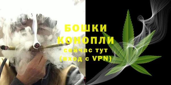ПСИЛОЦИБИНОВЫЕ ГРИБЫ Бородино