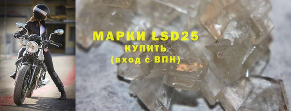 ГАЛЛЮЦИНОГЕННЫЕ ГРИБЫ Верея