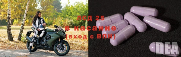 ГАЛЛЮЦИНОГЕННЫЕ ГРИБЫ Верея