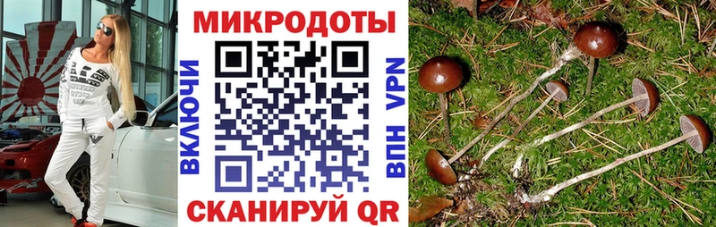 Псилоцибиновые грибы прущие грибы Демидов